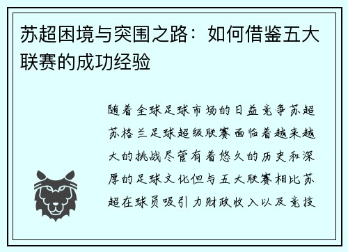 苏超困境与突围之路：如何借鉴五大联赛的成功经验